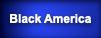 Button for List of Books, DVDs and Streaming Videos about Black America