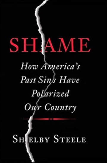 Shame - How America's Past Sins Have Polarized Our Country